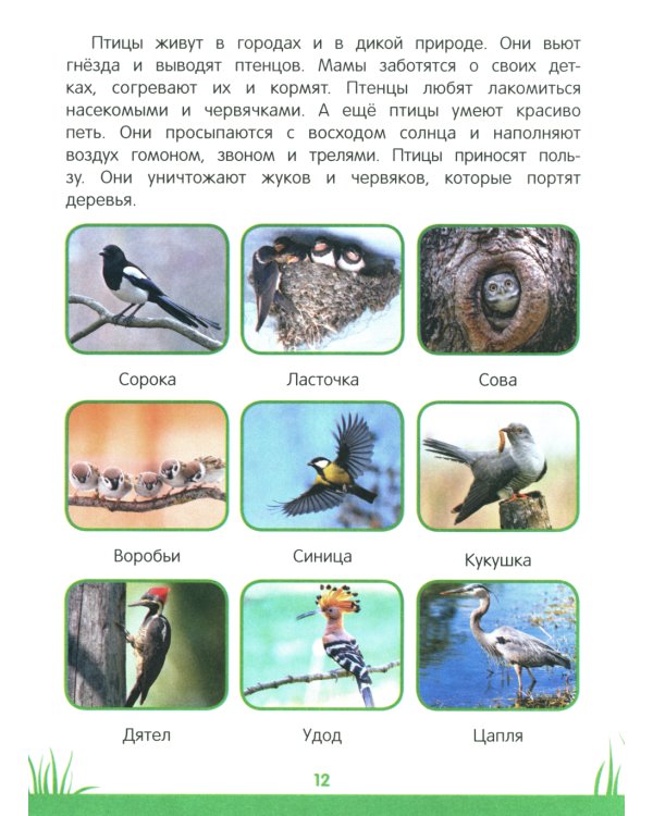 Энциклопедия дошкольника: 3-4 года