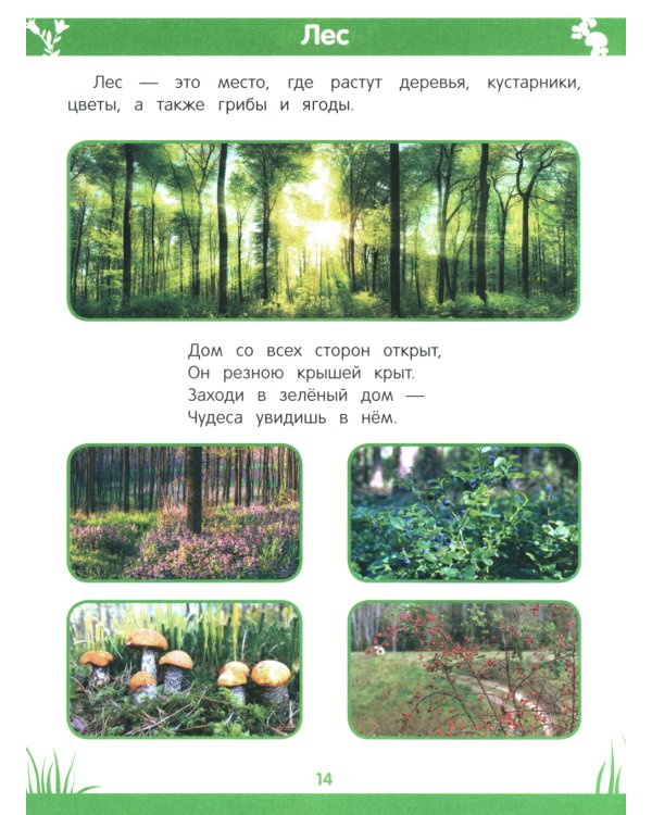 Энциклопедия дошкольника: 3-4 года