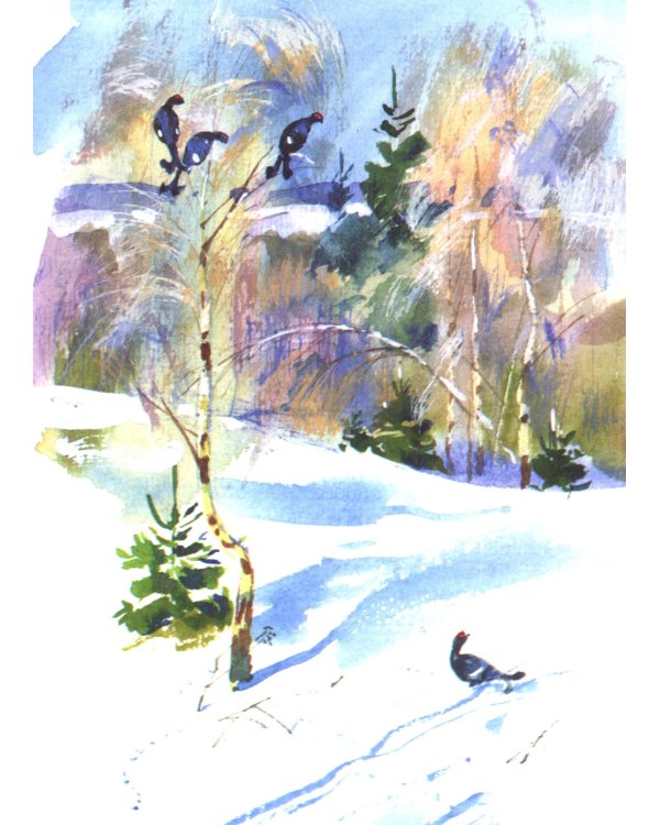 Стихи и сказки