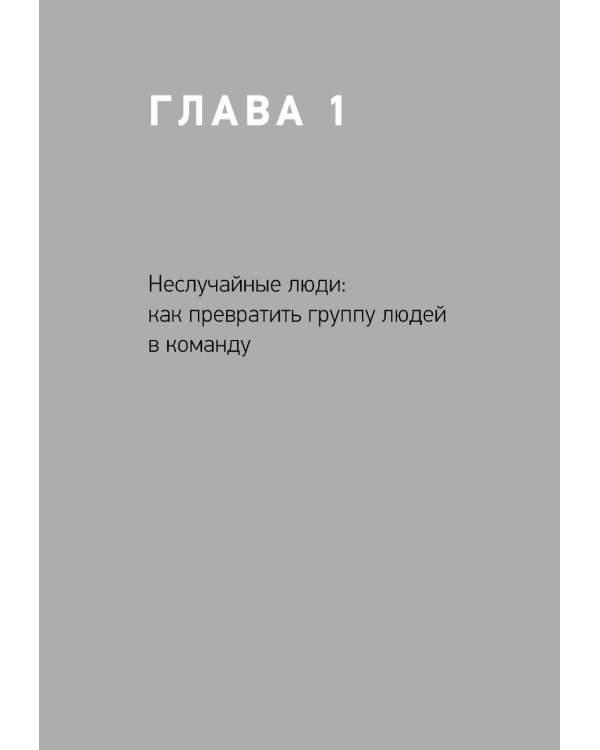 Герой и его команда. Как собрать, зажечь и достичь больших результатов