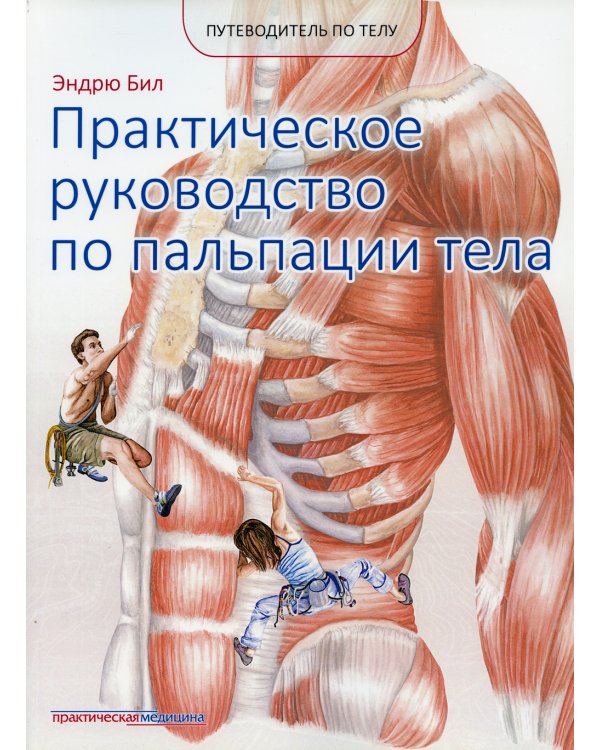 Практическое руководство по пальпации тела