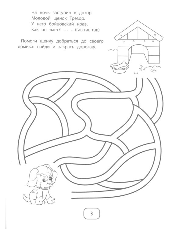 IQ-загадки и лабиринты-подражалки. 3+
