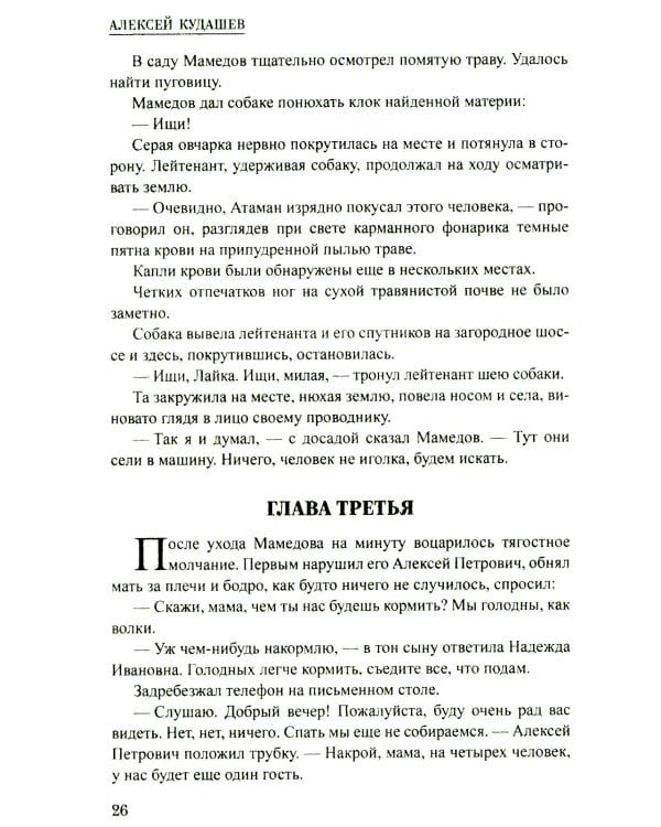 Ледяной остров: роман