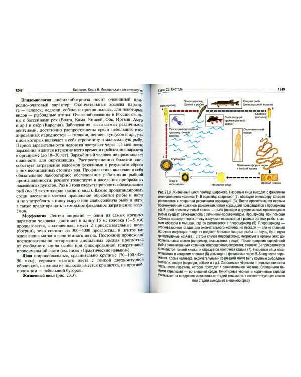 Биология: Учебник. В 8 кн. Кн. 6. Медицинская гельминтология