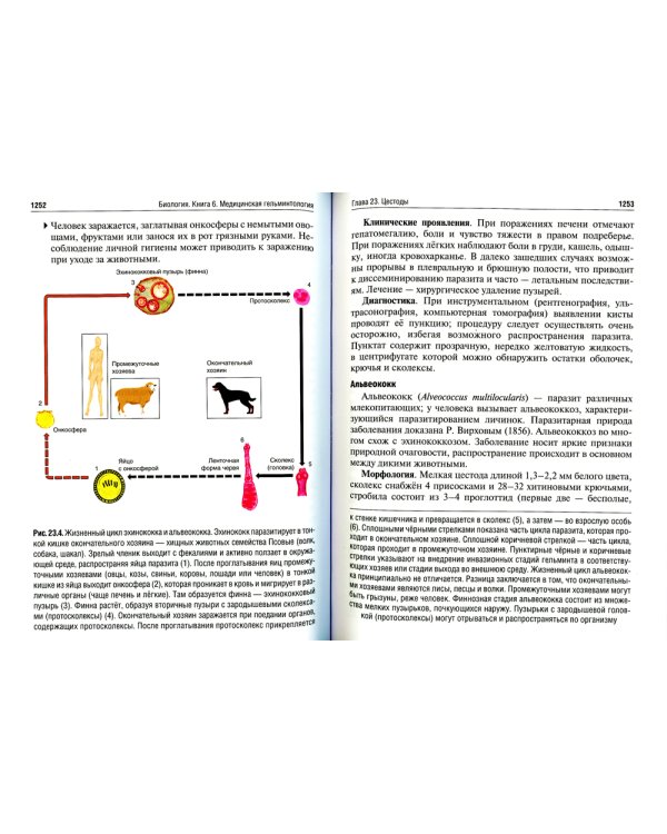 Биология: Учебник. В 8 кн. Кн. 6. Медицинская гельминтология