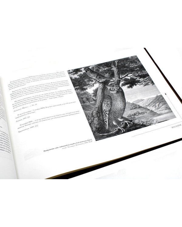 Библиотека РП. Первая российская кругосветная экспедиция. Иллюстрированная хроника