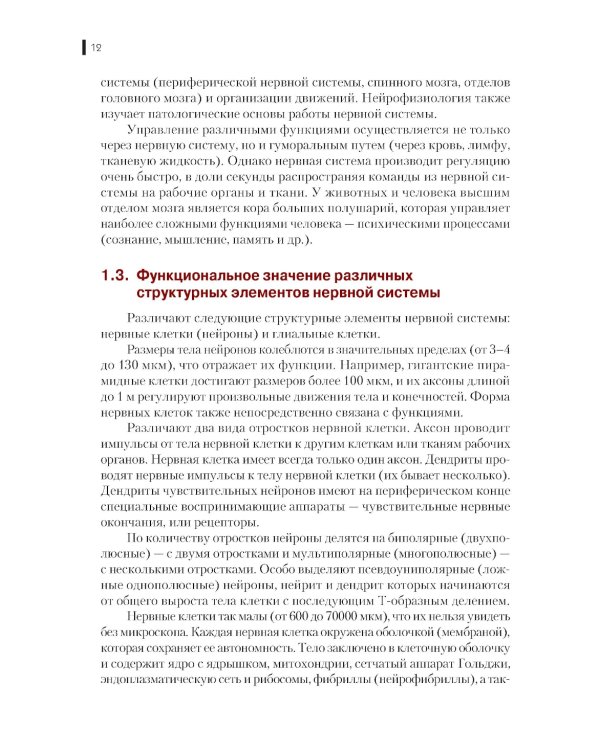 Нейрофизиология. Основы курса: Учебное пособие