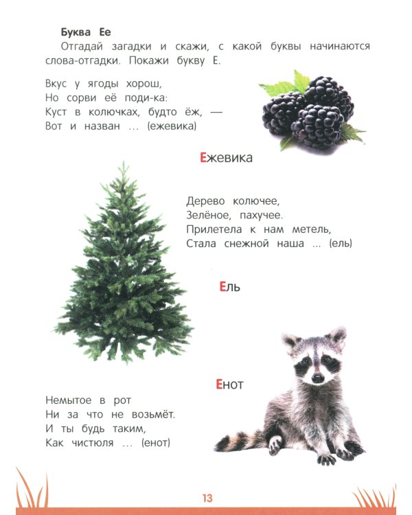 Энциклопедия дошкольника: 4-5 лет