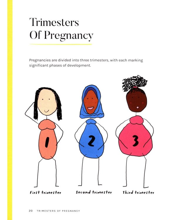 Midwife Marley's Guide For Everyone. Pregnancy, Birth and the 4th Trimester