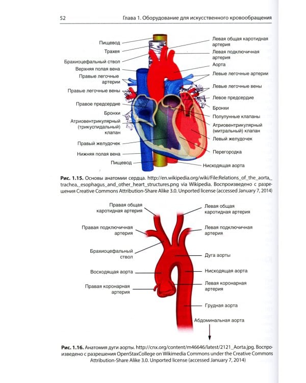Перфузия в хирургии врожденных пороков сердца. Заметки по искусственному кровообращению у сложного контингента пациентов