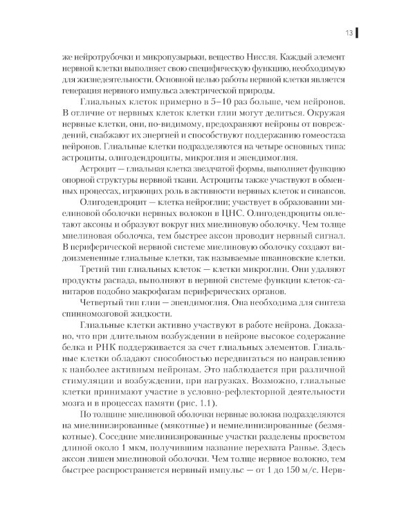 Нейрофизиология. Основы курса: Учебное пособие