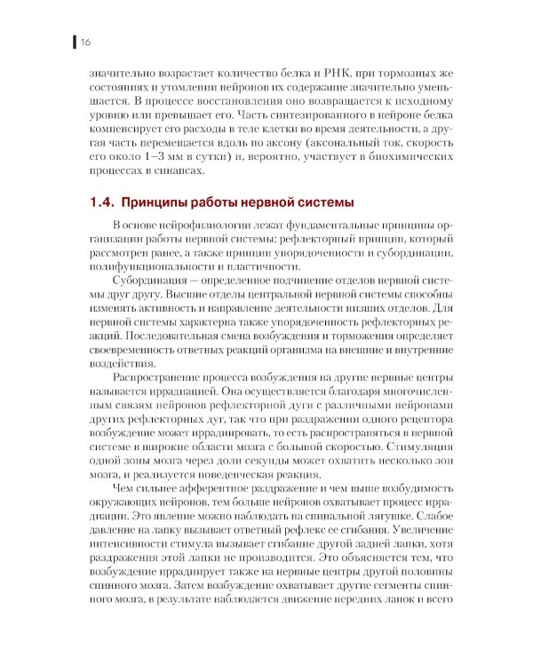 Нейрофизиология. Основы курса: Учебное пособие