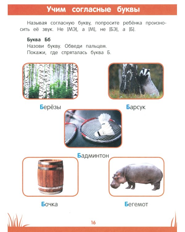 Энциклопедия дошкольника: 4-5 лет