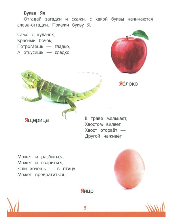 Энциклопедия дошкольника: 4-5 лет