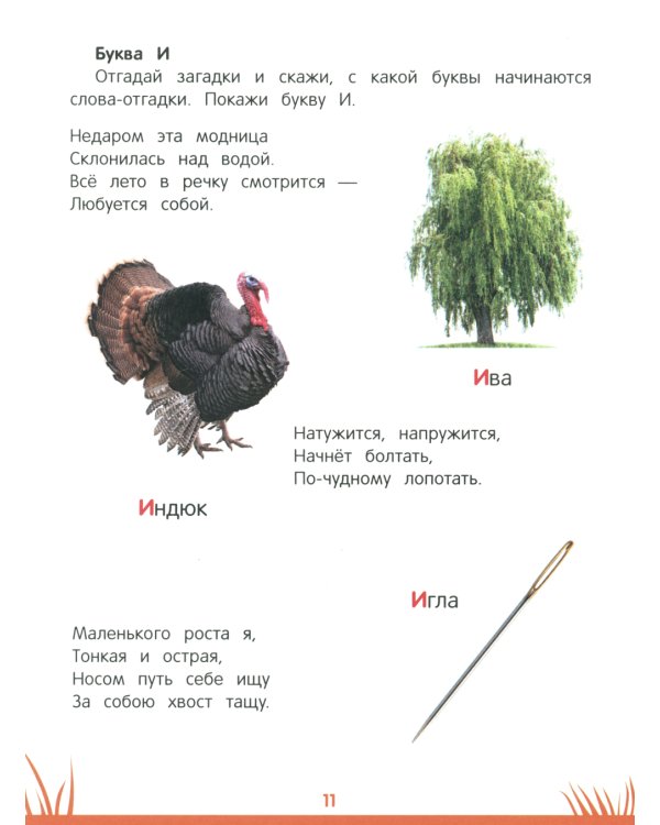 Энциклопедия дошкольника: 4-5 лет