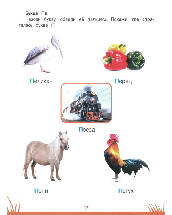 Энциклопедия дошкольника: 4-5 лет