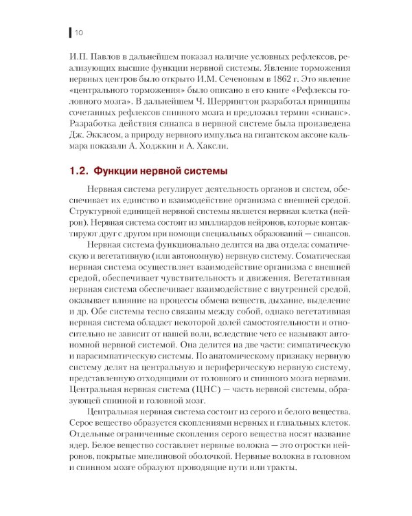 Нейрофизиология. Основы курса: Учебное пособие