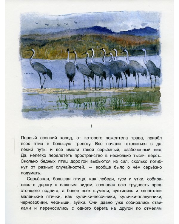 Умка; Серая шейка (комплект из 2-х книг)