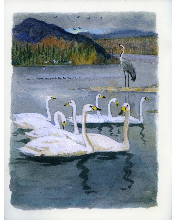 Умка; Серая шейка (комплект из 2-х книг)