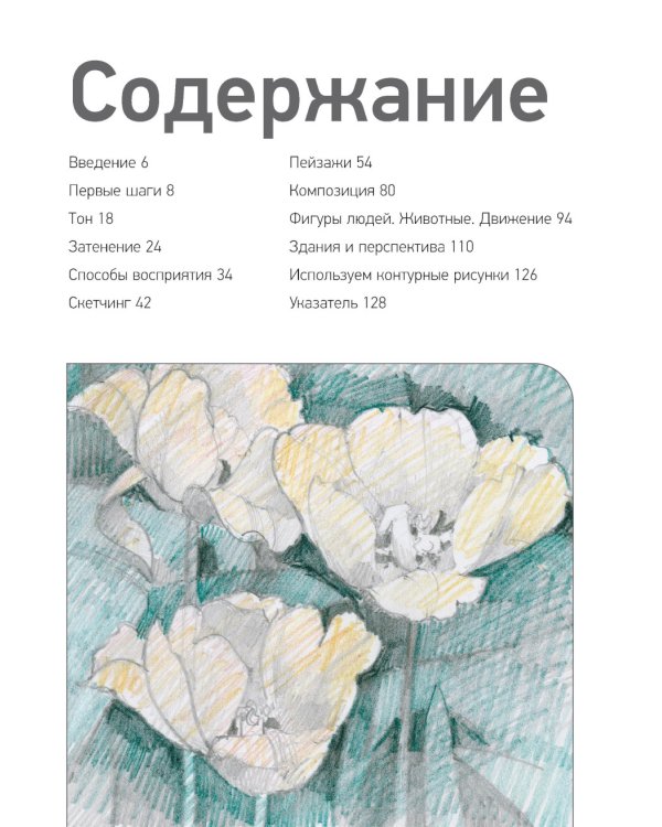Учимся рисовать с нуля. Уникальный самоучитель начинающего художника