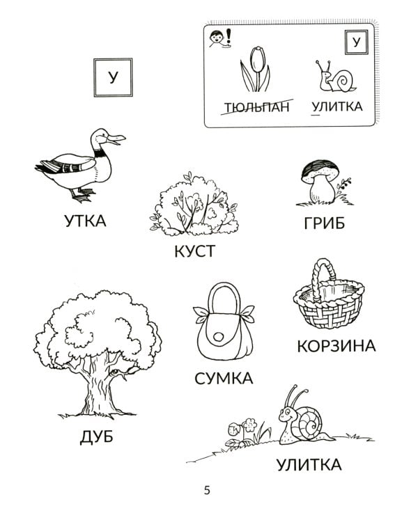 Читаем слоги и слова, переходим к текстам