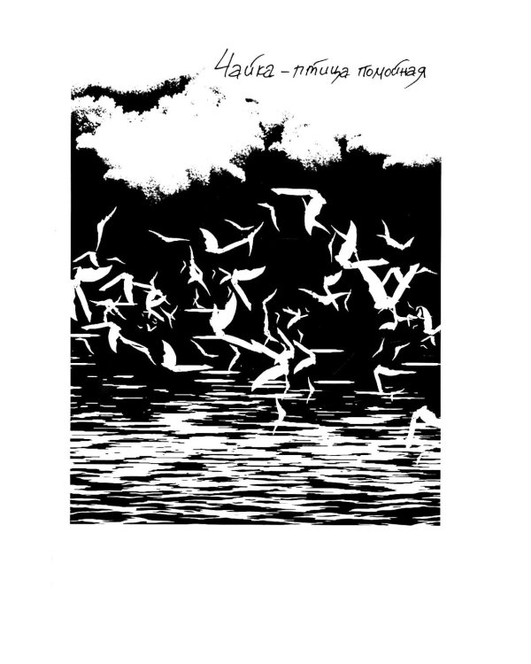 Камчатка-блюз: очерки