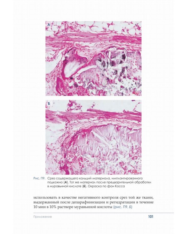 Гистологическая техника в патоморфологической лаборатории: Учебно-методическое пособие