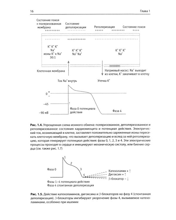 Быстрый анализ ЭКГ. 3-е изд