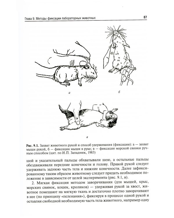 Доклинические исследования лекарственных веществ