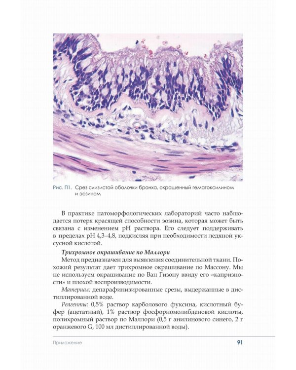 Гистологическая техника в патоморфологической лаборатории: Учебно-методическое пособие