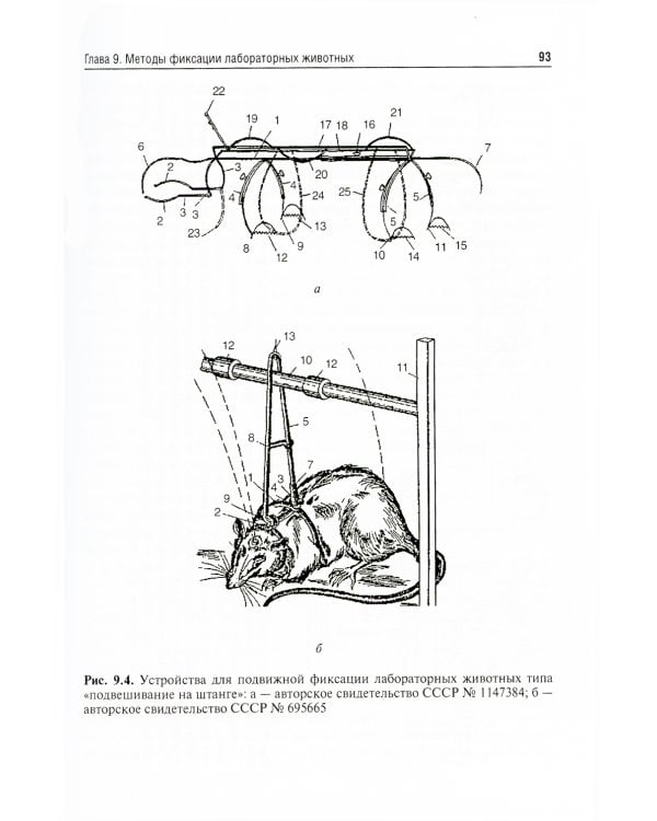 Доклинические исследования лекарственных веществ