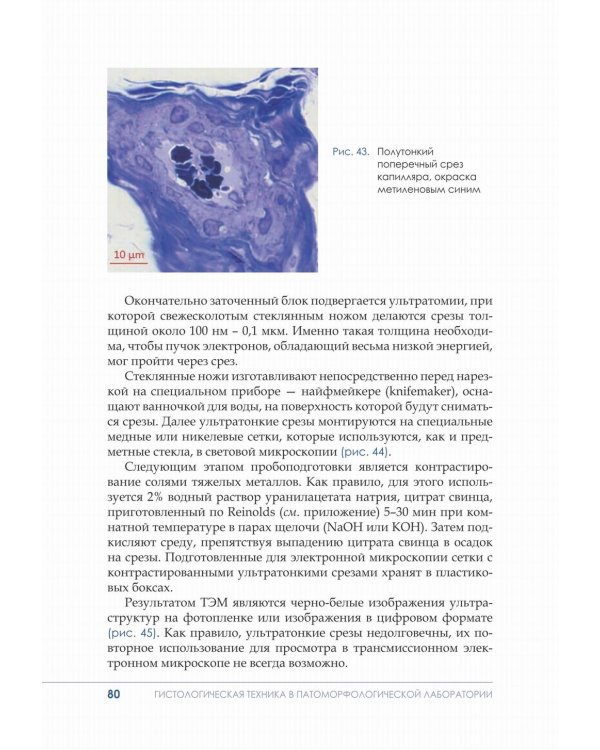 Гистологическая техника в патоморфологической лаборатории: Учебно-методическое пособие