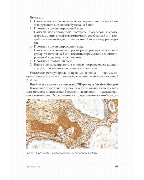 Гистологическая техника в патоморфологической лаборатории: Учебно-методическое пособие