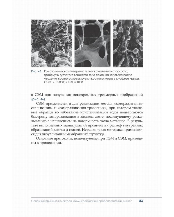Гистологическая техника в патоморфологической лаборатории: Учебно-методическое пособие