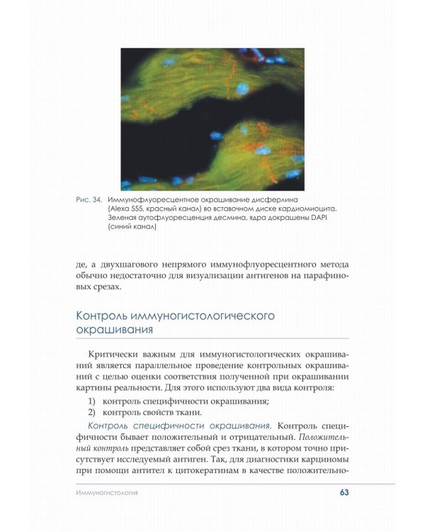 Гистологическая техника в патоморфологической лаборатории: Учебно-методическое пособие