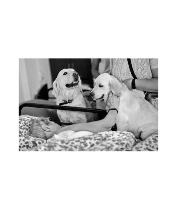 Быть волонтером