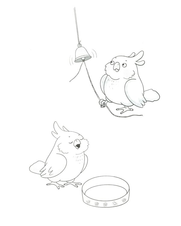 Слушать интересно! Развитие слухового восприятия: начальный этап