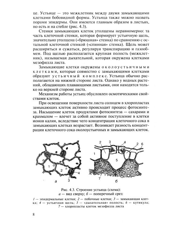 Биология для поступающих в вузы: В 2 т. Т. 2. 2-е изд., испр.и доп