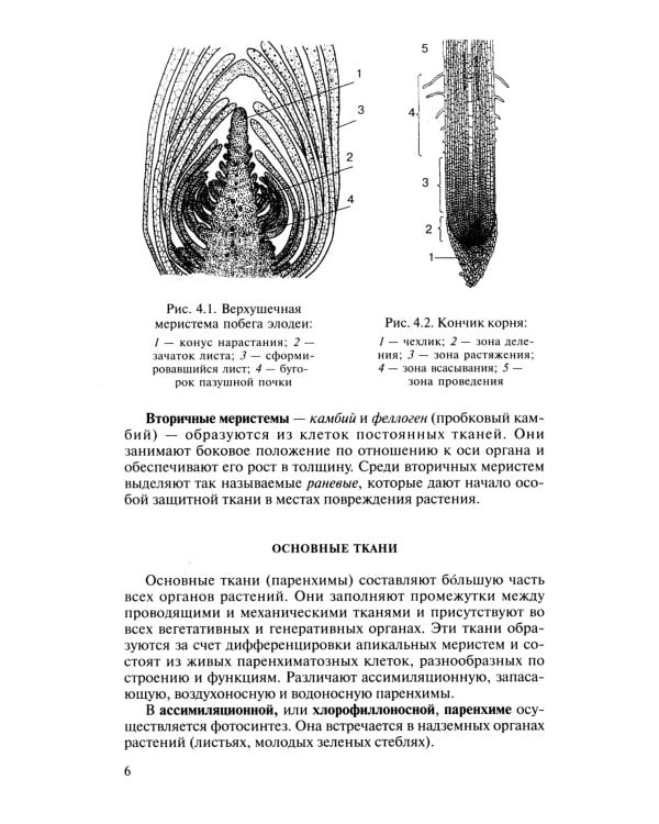 Биология для поступающих в вузы: В 2 т. Т. 2. 2-е изд., испр.и доп