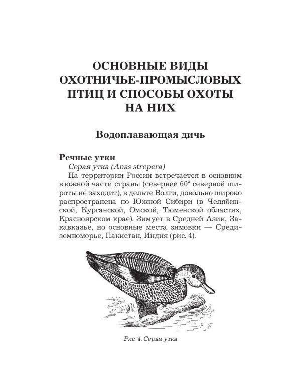 Охота по перу