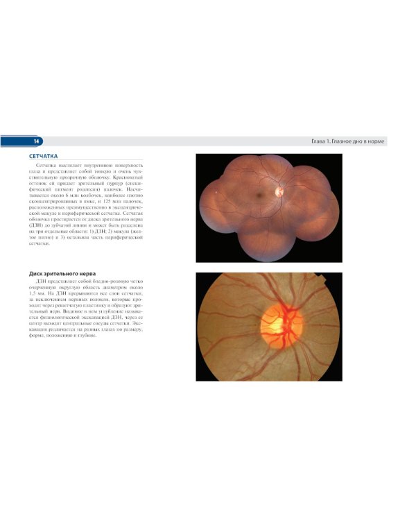 Цветной атлас сетчатки и зрительного нерва
