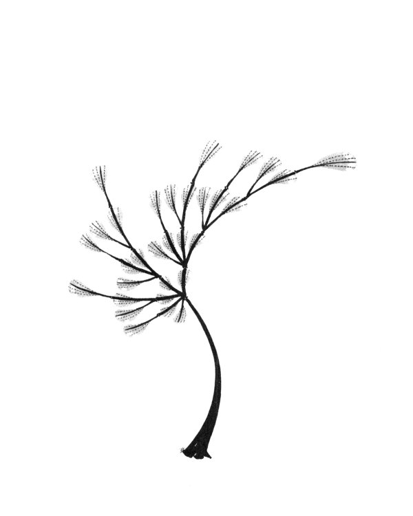 Искусство программирования. Т. 1. Основные алгоритмы. 3-е изд