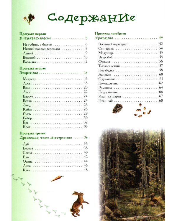 Прогулки по лесу