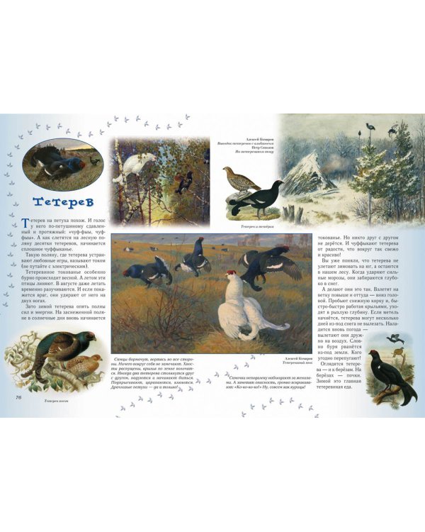 Прогулки по лесу