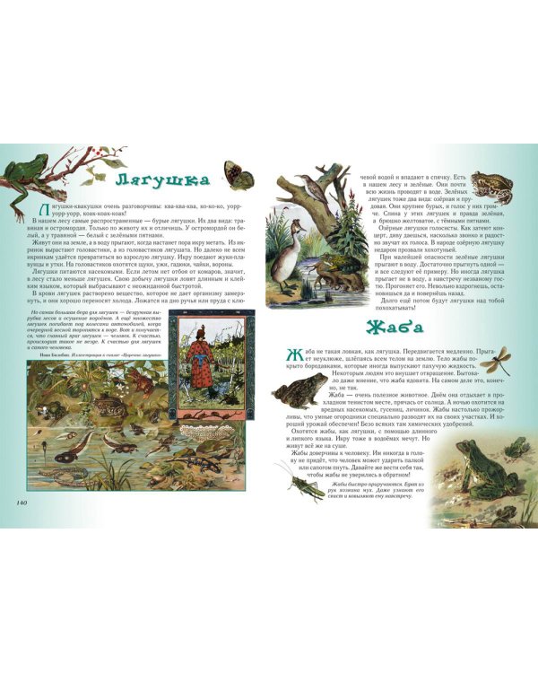 Прогулки по лесу