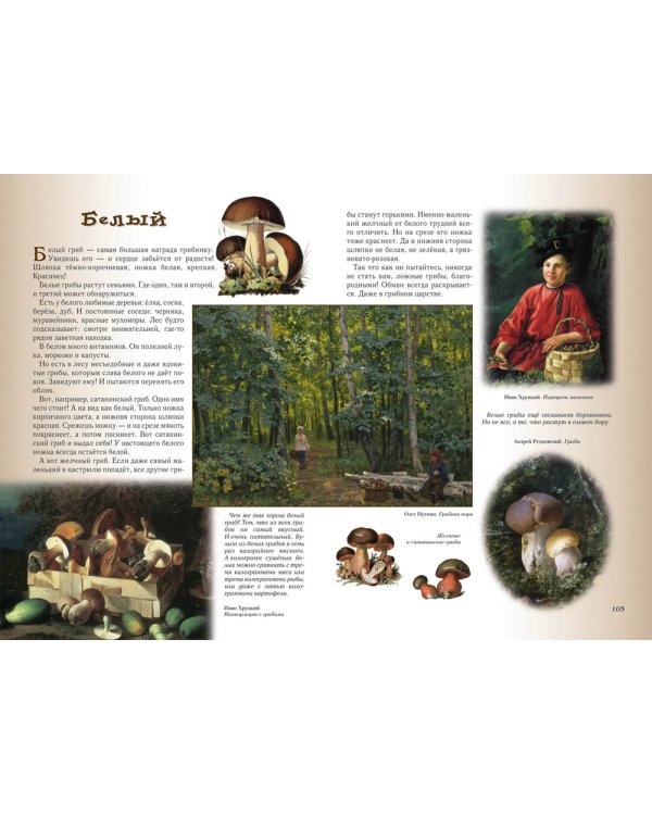 Прогулки по лесу