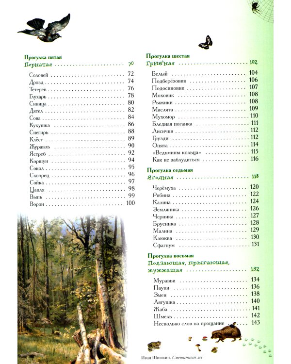 Прогулки по лесу