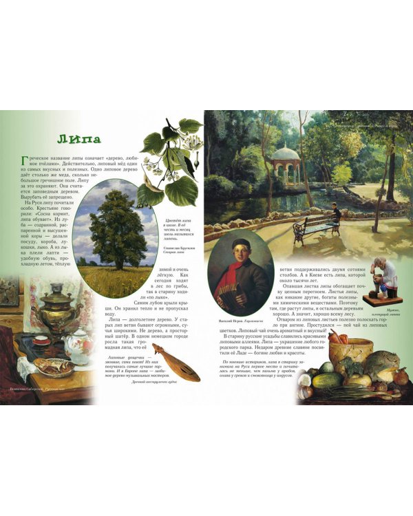 Прогулки по лесу