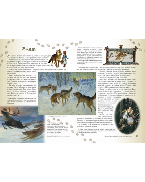 Прогулки по лесу