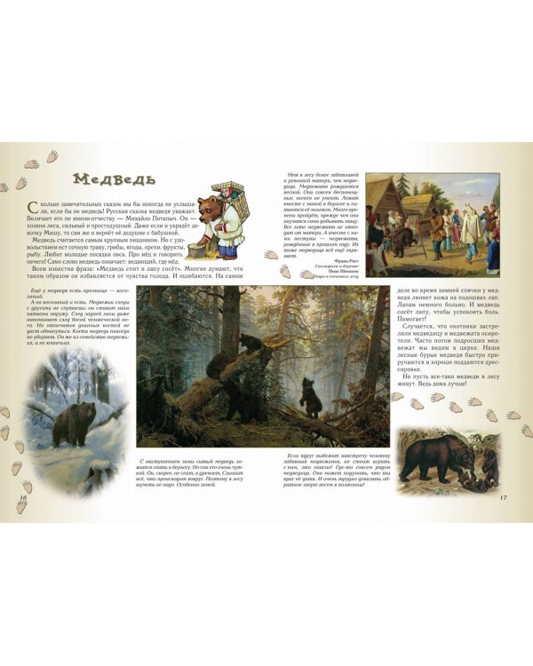 Прогулки по лесу